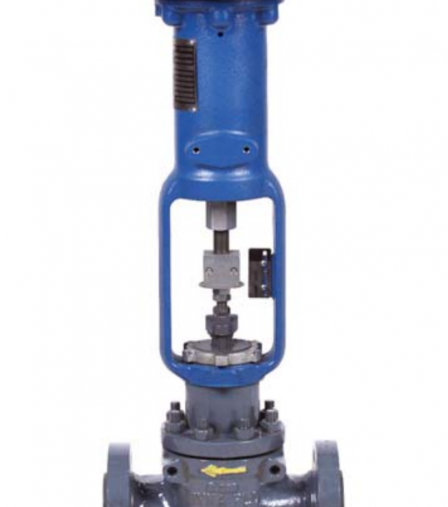 DF2000 Control Valve